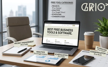 Software Consulting